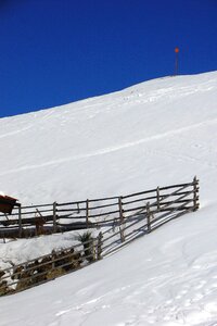 Winter white skiing photo