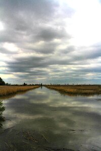 Savannah water clouds