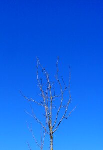Winter sky sky blue photo