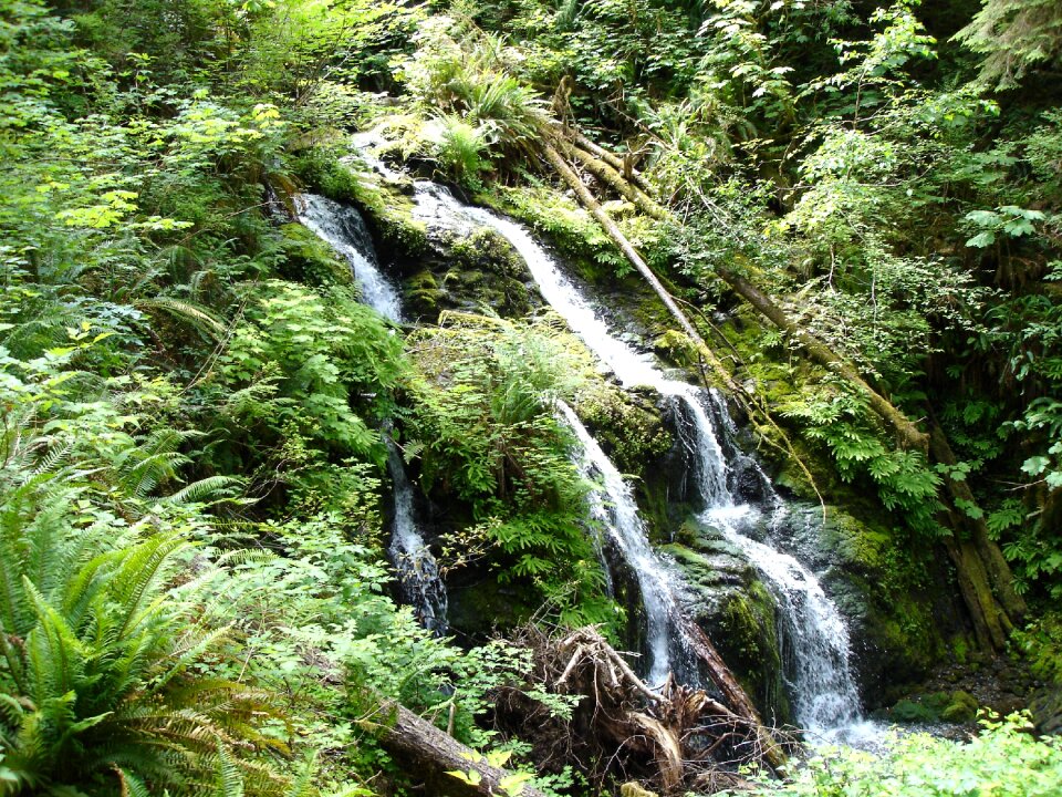Vegetation water landscape