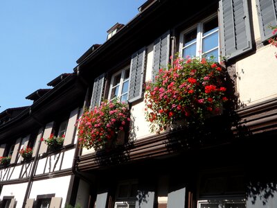 Angel lane gengenbach architecture