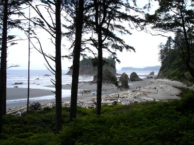 Rock formations coast olympic national park