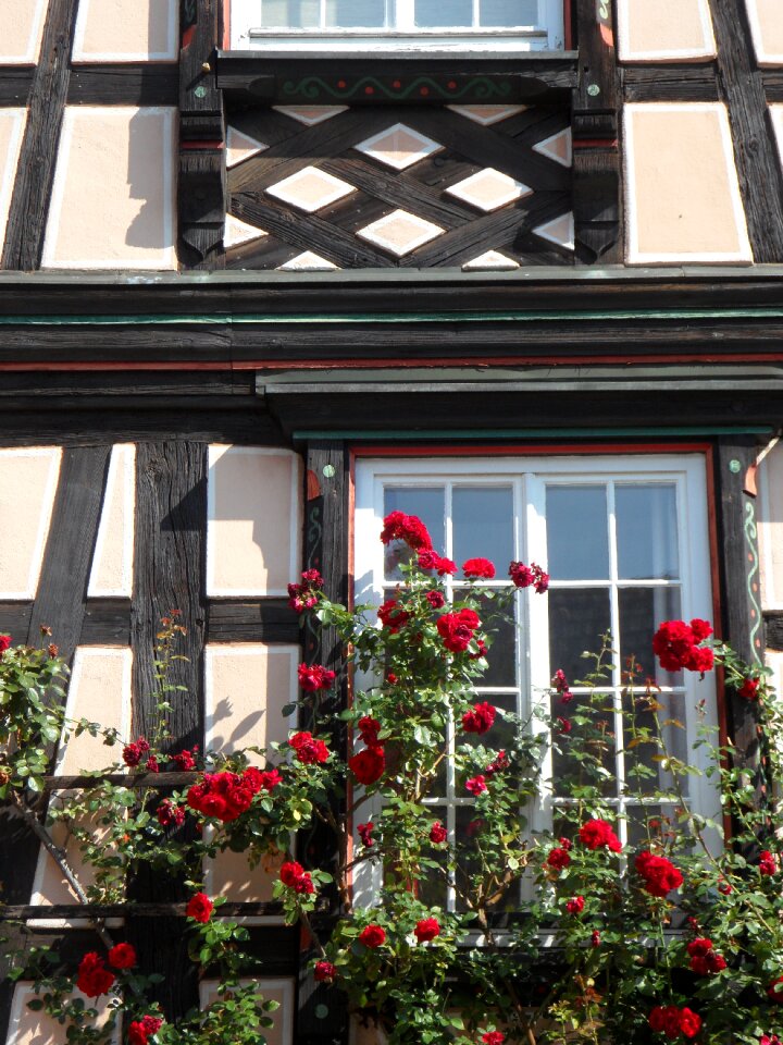 Truss fachwerkhaus house