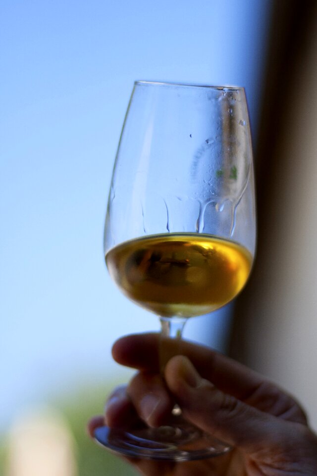 Drink wine stemware