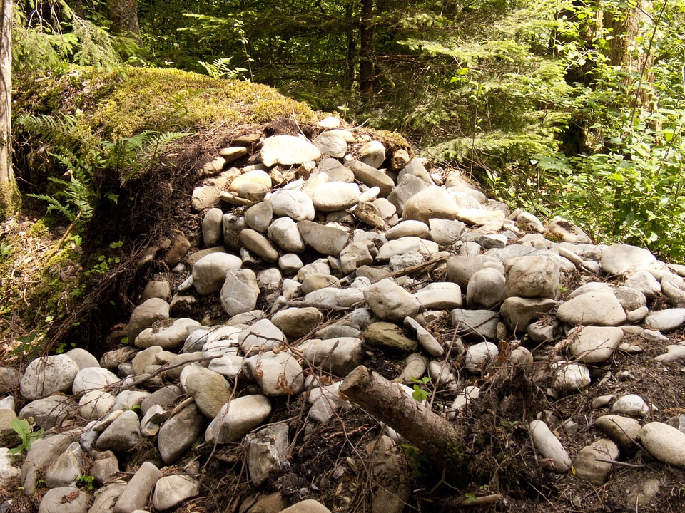Wall forest stone wall