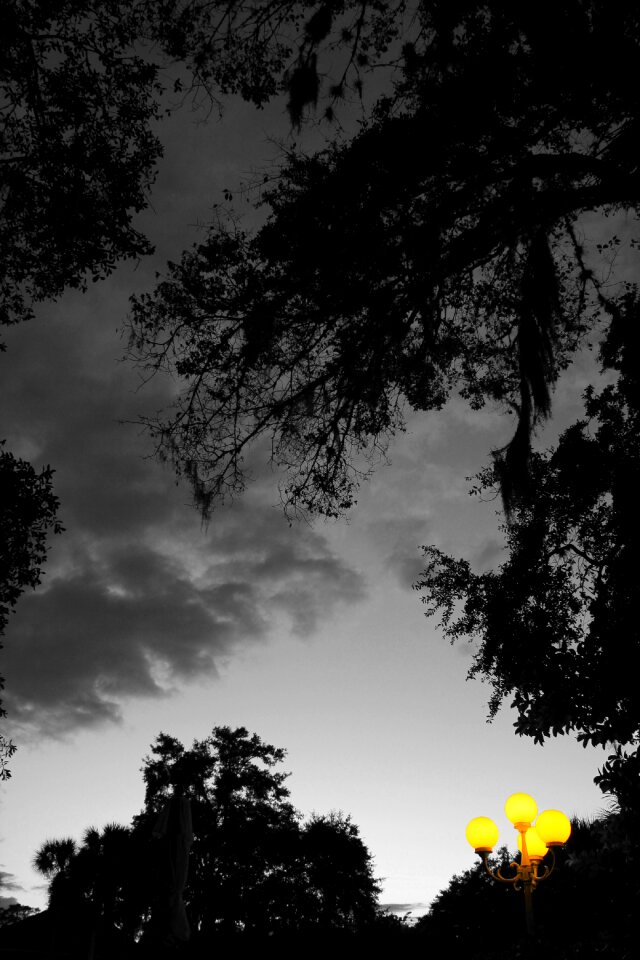 Dark lanterns yellow