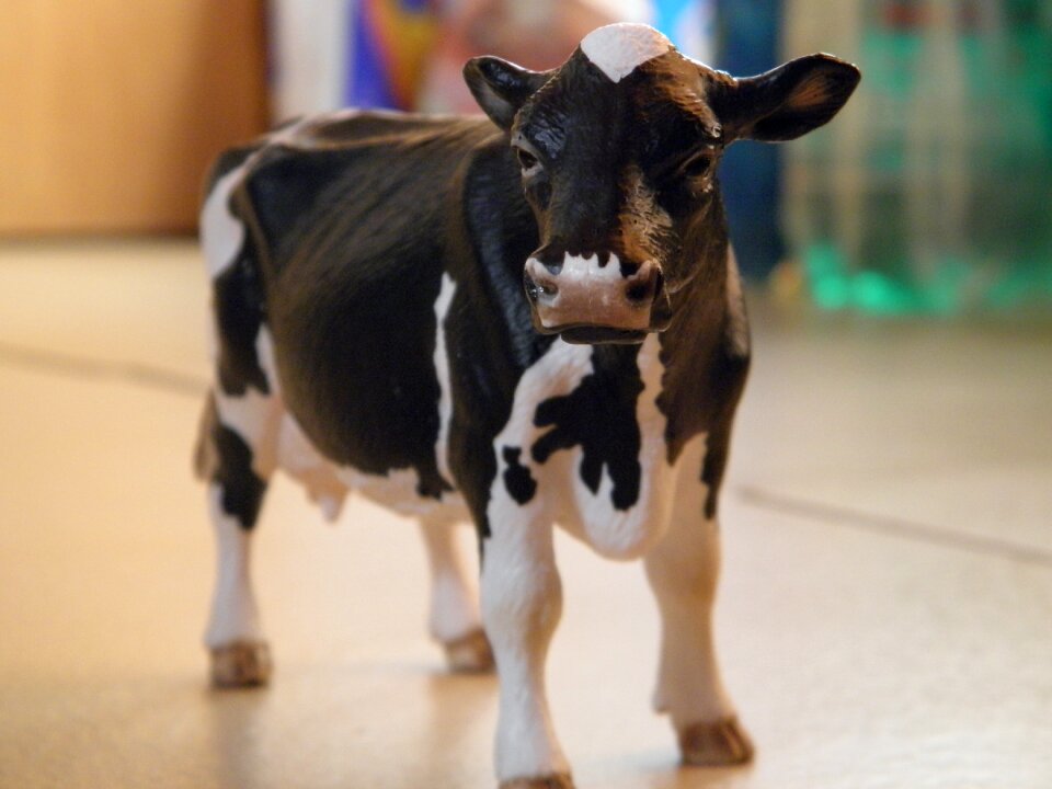 Funny figure animal