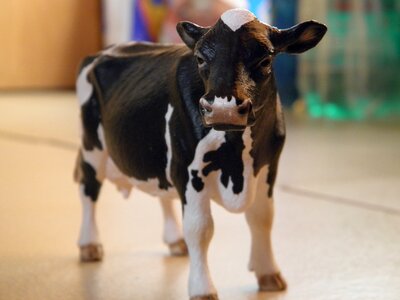 Funny figure animal