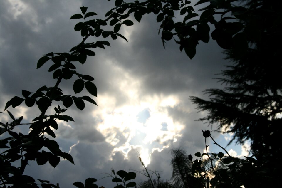 Thunderstorm silhouette weather