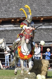 Cavalry fight horse photo