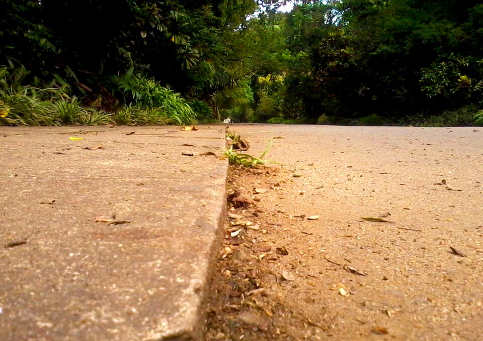 Road marking travel path photo