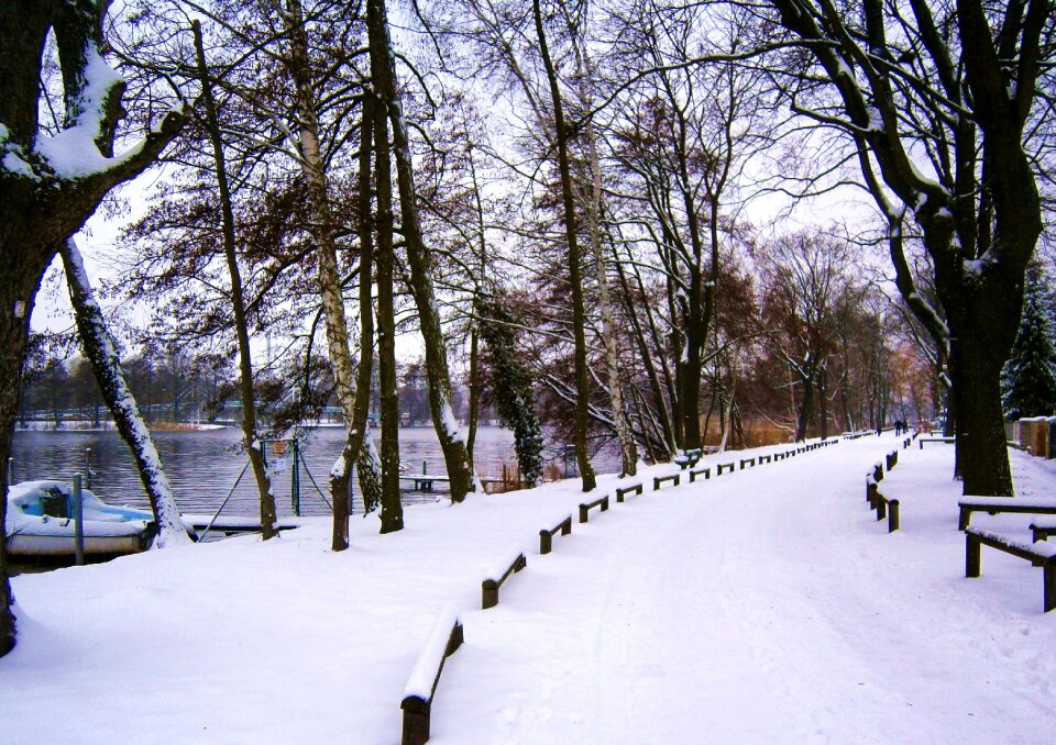 Winter snow trail
