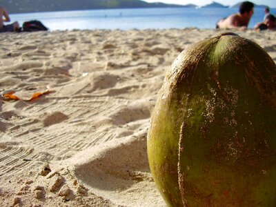 Beach summer sand beach photo