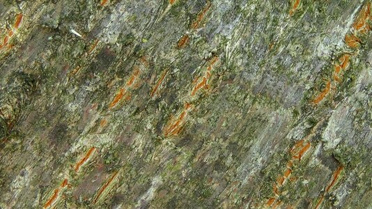 Nature brown background