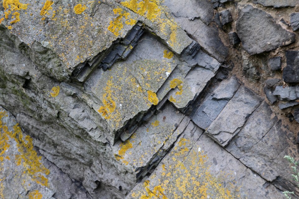 Background moss weathered