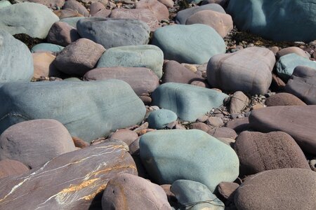 Pebbles coast sea photo