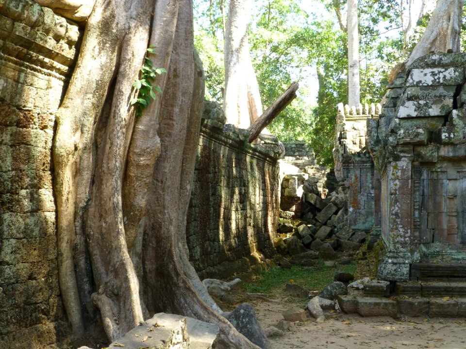 Cambodia temple siem reap