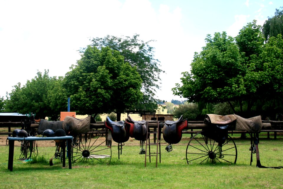 Post wagon wheels green trees