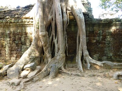 Cambodia temple siem reap