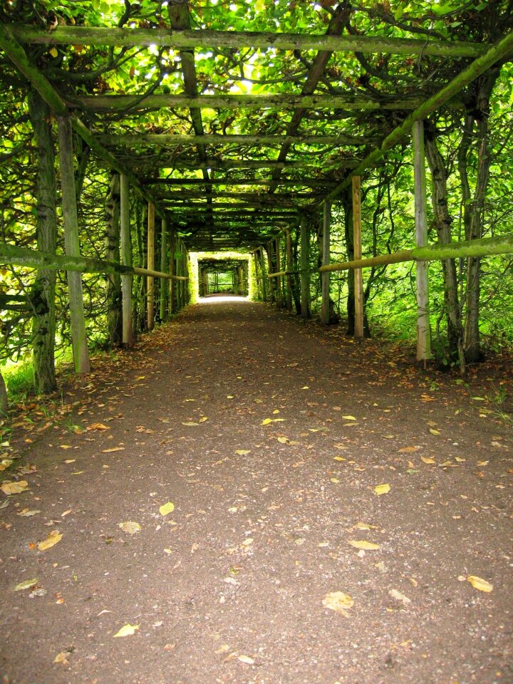 Garden arcades tunnel