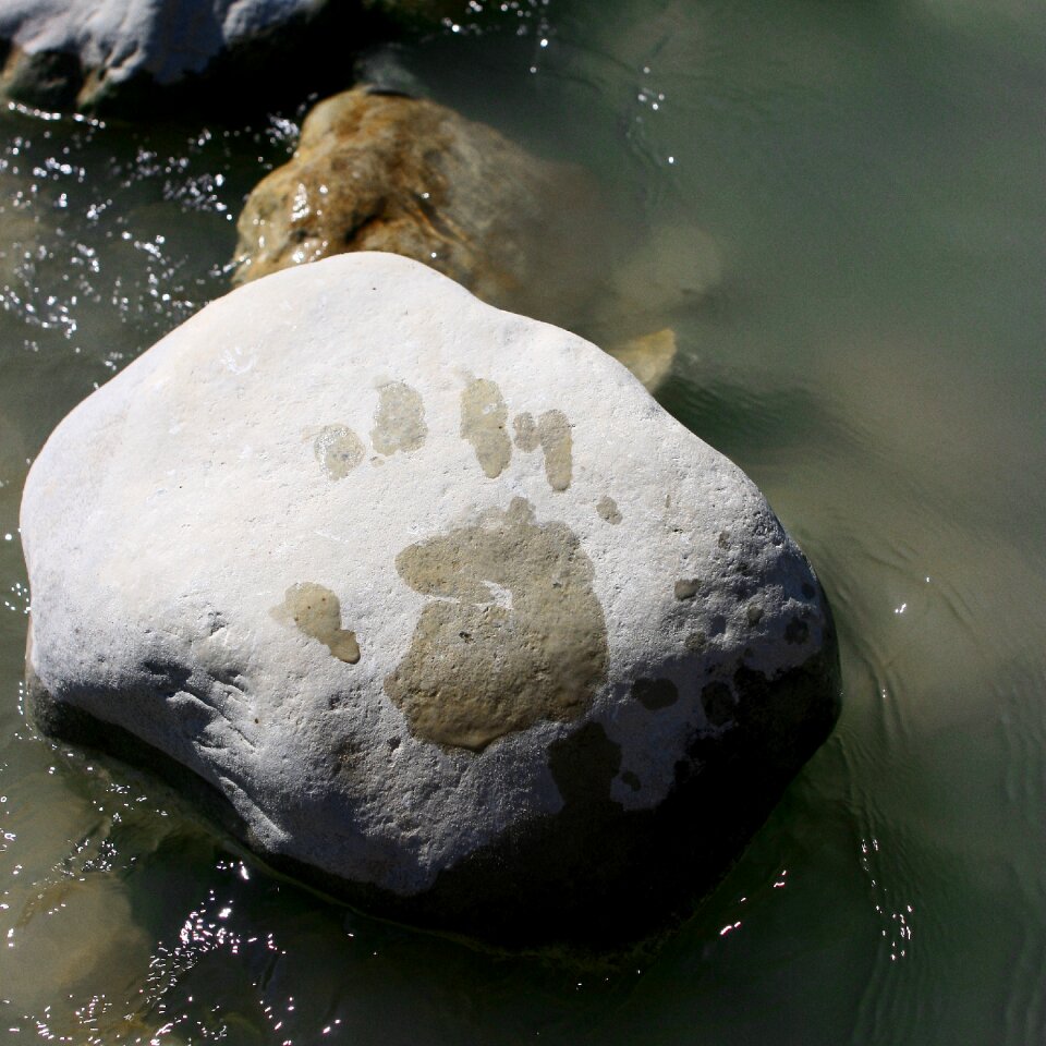 Rock footprint hand