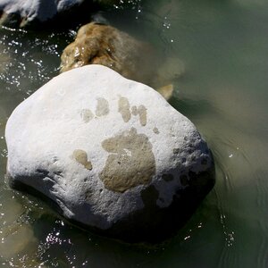 Rock footprint hand