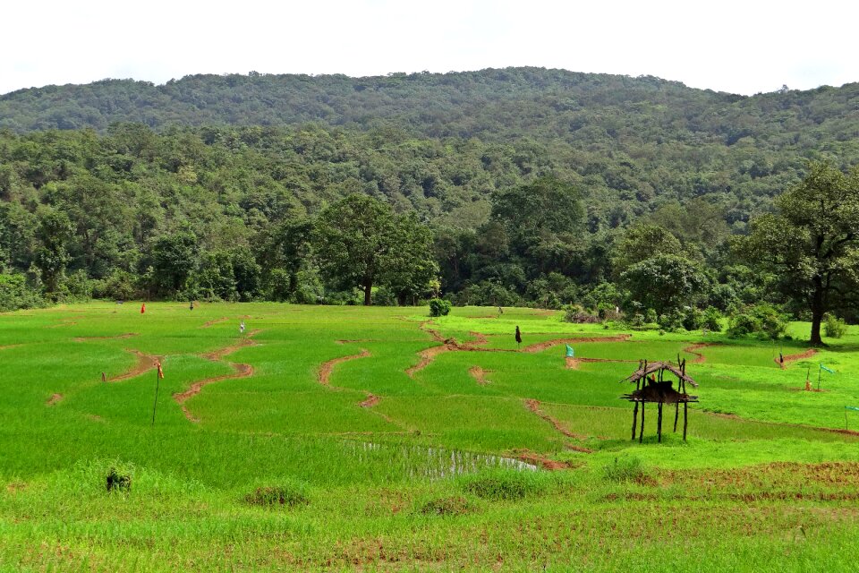Hills india landscape