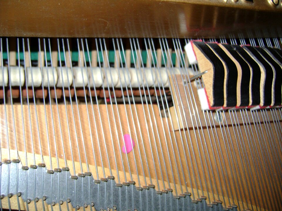 Grand piano hammers grand piano strings photo