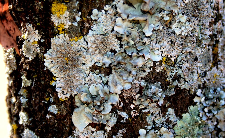 Light grey spots of color textured