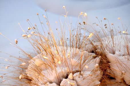 Winter mood snow