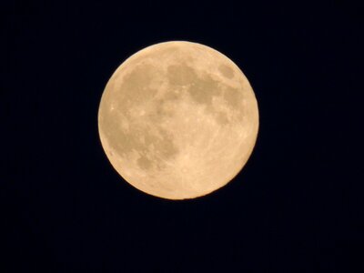 Full moon glow howling dogs
