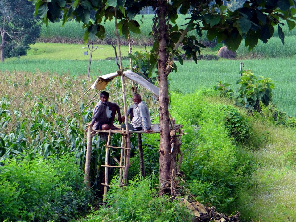 Farmers western ghats hills
