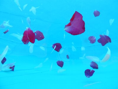 Water tickets colors