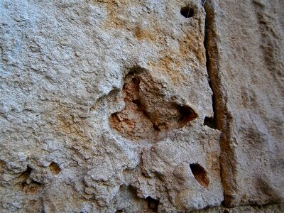 Sandstone erosion abstract photo