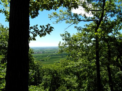 Palatine views hiking palatinate