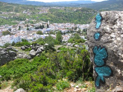 Landscape city graffiti