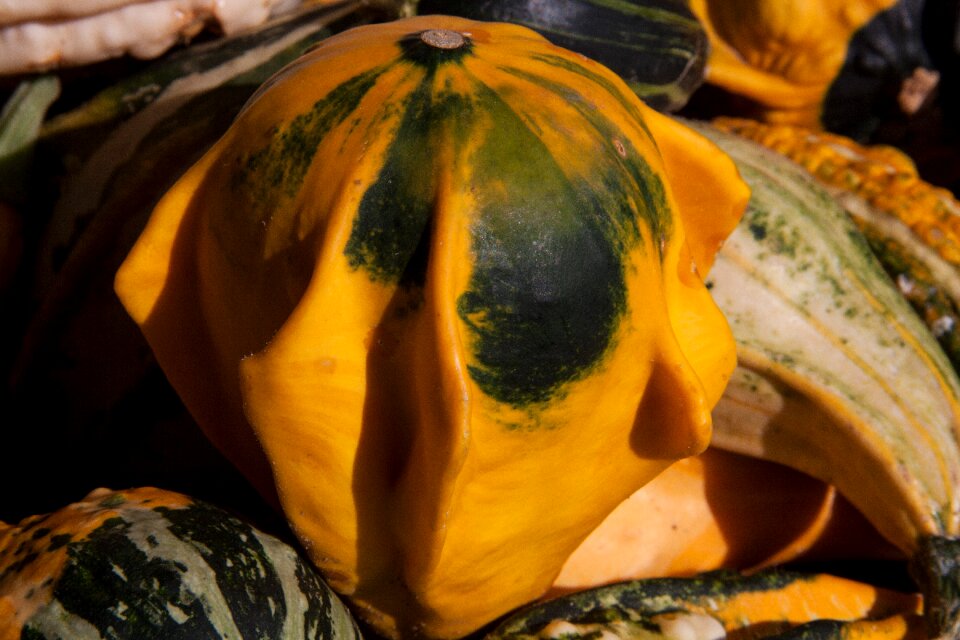 Colorful yellow green