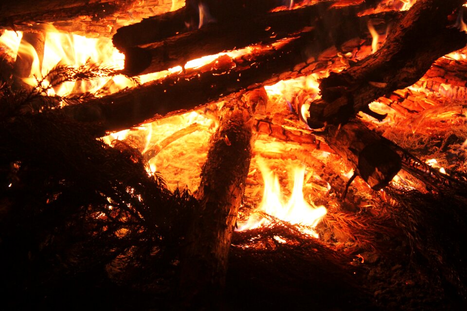 The bonfire night wood