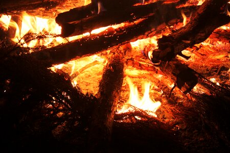 The bonfire night wood