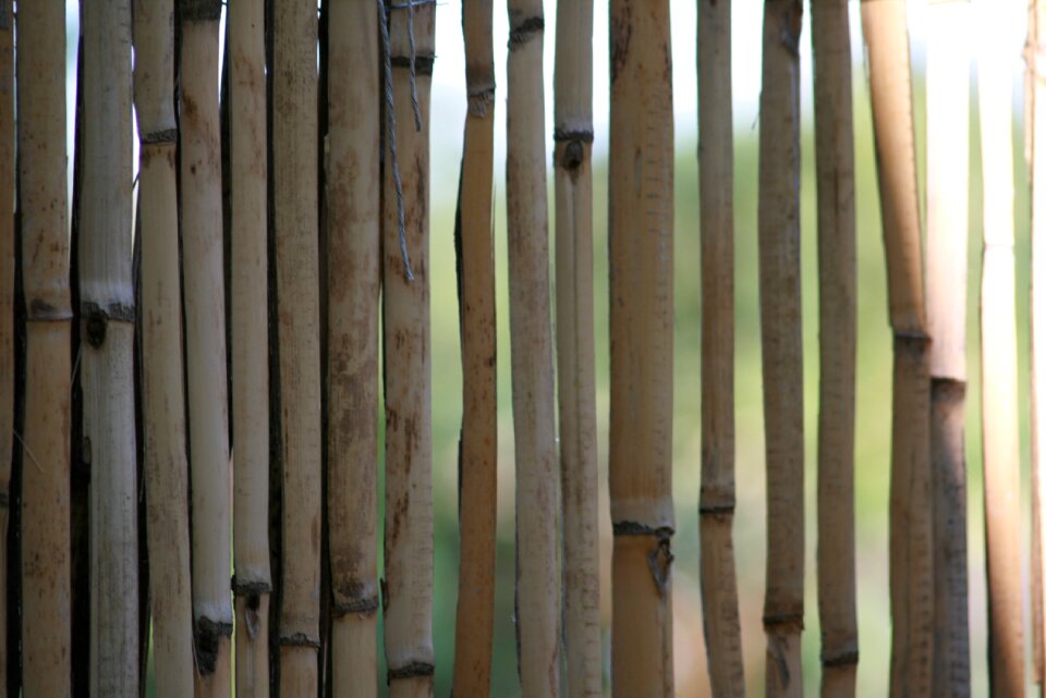 Halme fence bamboo greenhouse