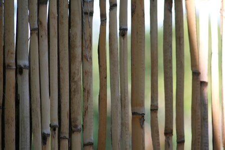 Halme fence bamboo greenhouse photo