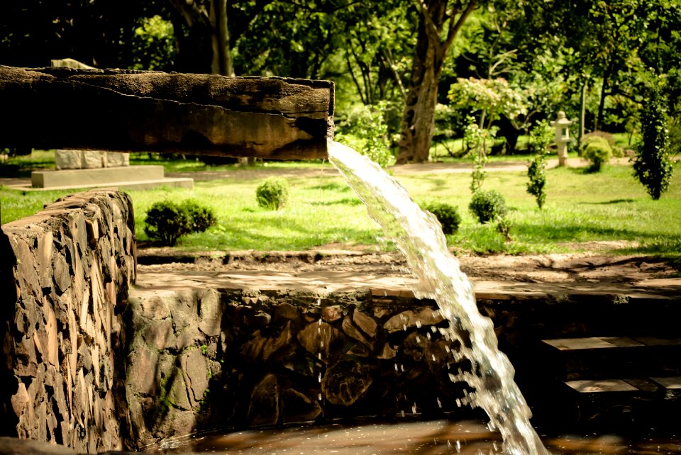 Landscape garden scenario