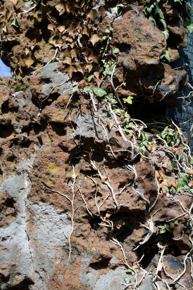 Old rock minerals