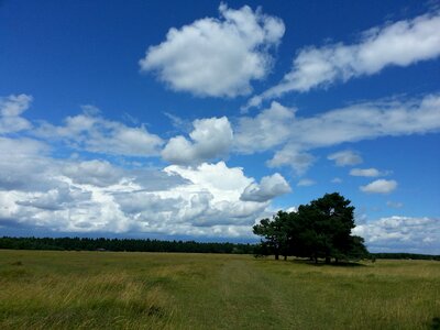 Clouds heathland landscape
