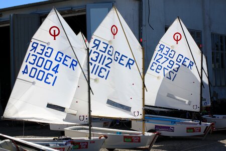 Optimist regatta sailing boats