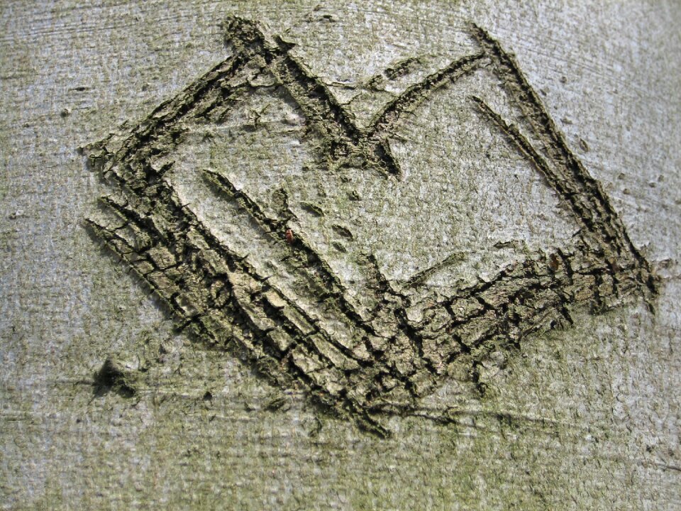 Heart engraved love