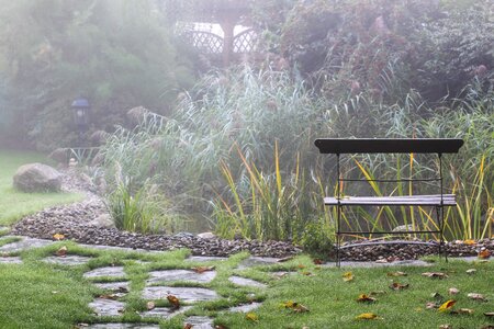 Golden autumn garden pond fog