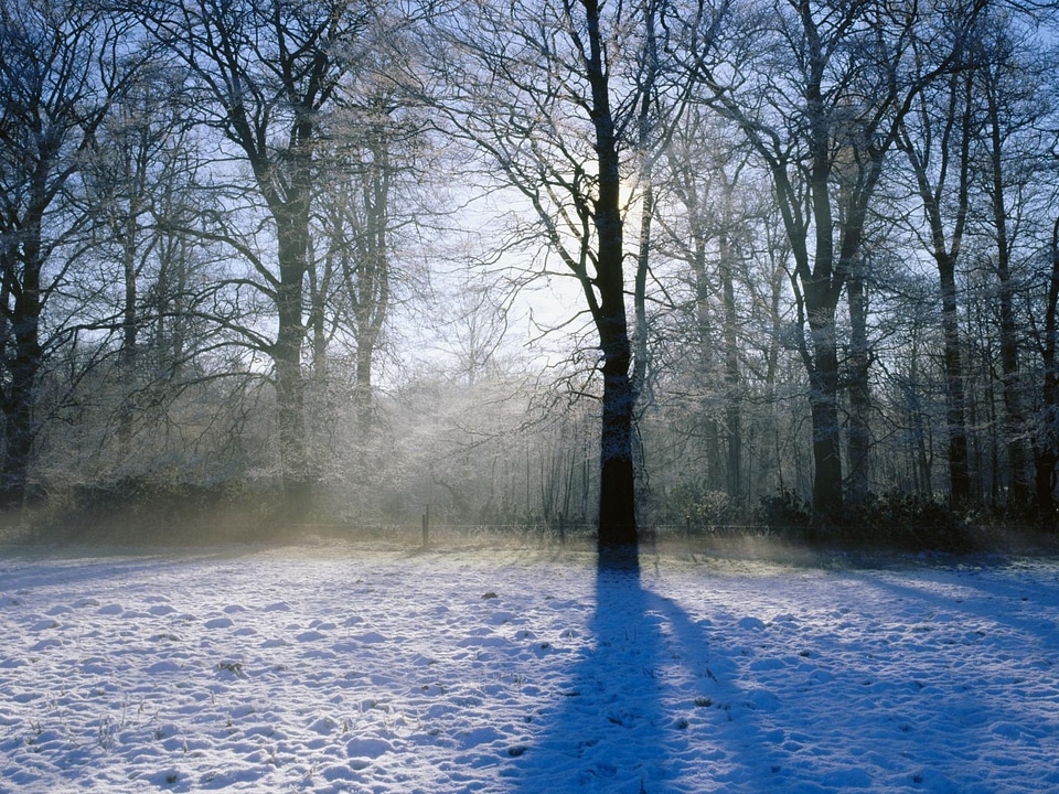 Winter christmas like ice