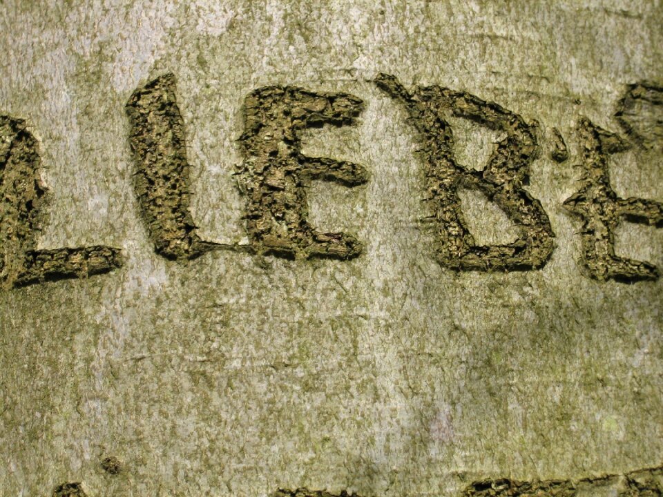 By scripture love engraved