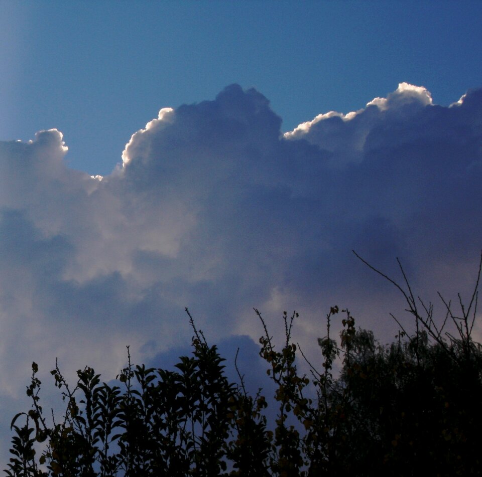 Large blue shadows white edge photo